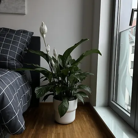 Zimmer An Der Frauenkirche ゲストハウス ドレスデン